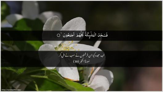 Al-Hijr Ayah 30 - Arabic + Urdu wallpaper