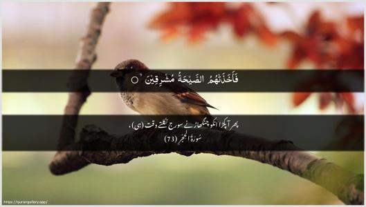 Al-Hijr Ayah 73 - Arabic + Urdu wallpaper