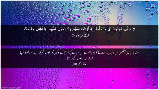 Al-Hijr Ayah 88 - Arabic + Urdu wallpaper