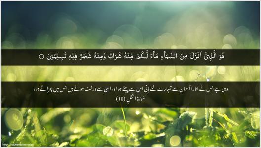 An-Nahl Ayah 10 - Arabic + Urdu wallpaper