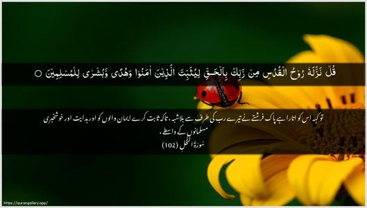An-Nahl Ayah 102 - Arabic + Urdu wallpaper
