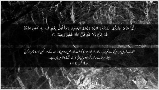 An-Nahl Ayah 115 - Arabic + Urdu wallpaper