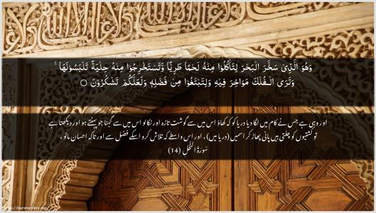 An-Nahl Ayah 14 - Arabic + Urdu wallpaper