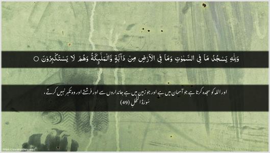 An-Nahl Ayah 49 - Arabic + Urdu wallpaper