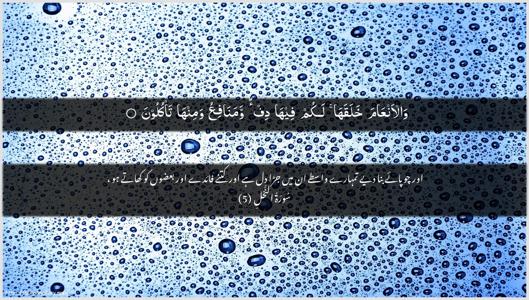 An-Nahl Ayah 5 - Arabic + Urdu wallpaper