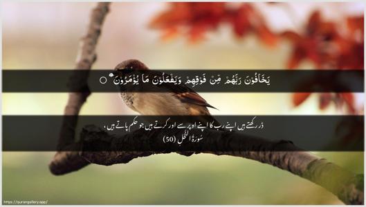 An-Nahl Ayah 50 - Arabic + Urdu wallpaper