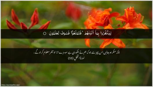 An-Nahl Ayah 55 - Arabic + Urdu wallpaper