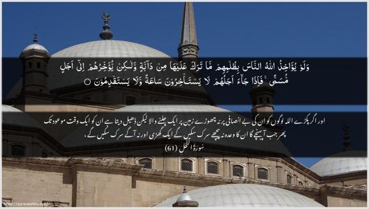 An-Nahl Ayah 61 - Arabic + Urdu wallpaper