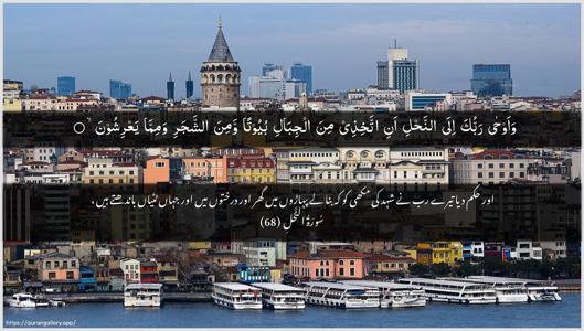 An-Nahl Ayah 68 - Arabic + Urdu wallpaper