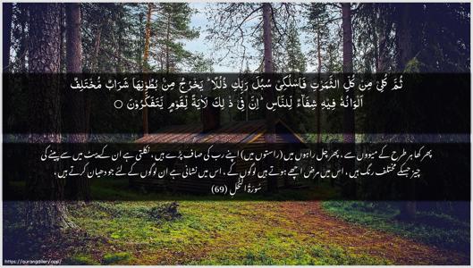 An-Nahl Ayah 69 - Arabic + Urdu wallpaper