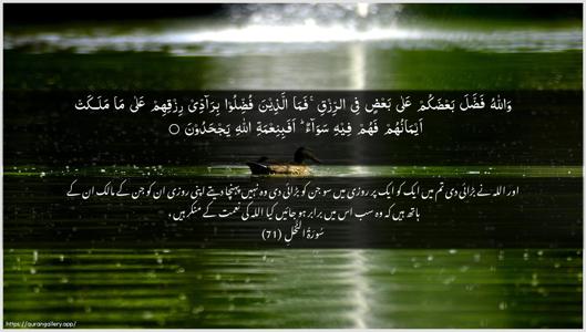 An-Nahl Ayah 71 - Arabic + Urdu wallpaper