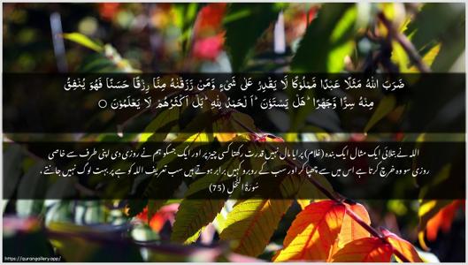 An-Nahl Ayah 75 - Arabic + Urdu wallpaper