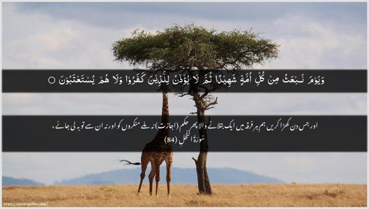 An-Nahl Ayah 84 - Arabic + Urdu wallpaper