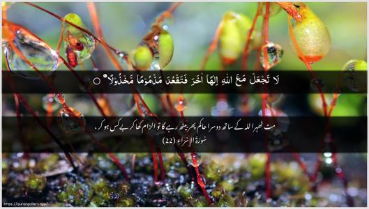 Al-Israa Ayah 22 - Arabic + Urdu wallpaper