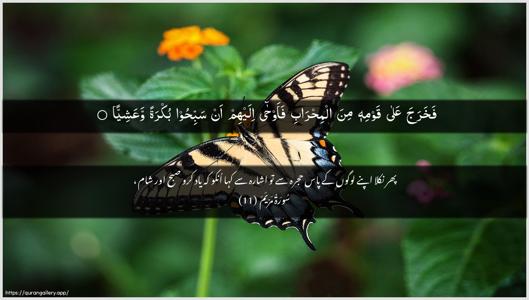 Maryam Ayah 11 - Arabic + Urdu wallpaper