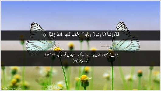 Maryam Ayah 19 - Arabic + Urdu wallpaper