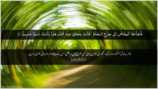 Maryam Ayah 23 - Arabic + Urdu wallpaper