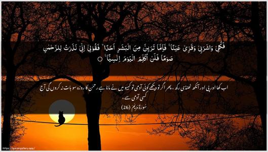 Maryam Ayah 26 - Arabic + Urdu wallpaper