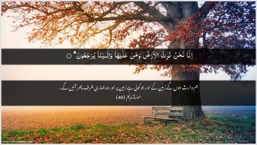 Maryam Ayah 40 - Arabic + Urdu wallpaper
