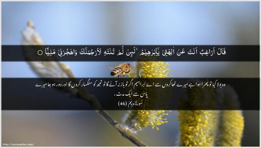 Maryam Ayah 46 - Arabic + Urdu wallpaper