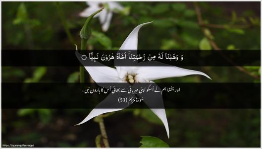 Maryam Ayah 53 - Arabic + Urdu wallpaper