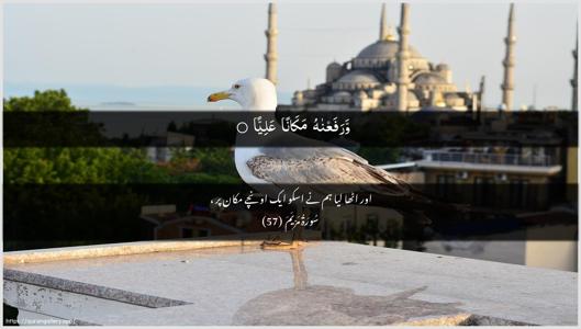 Maryam Ayah 57 - Arabic + Urdu wallpaper