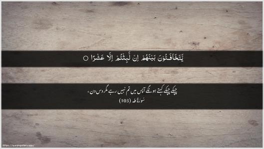 Taa-Haa Ayah 103 - Arabic + Urdu wallpaper