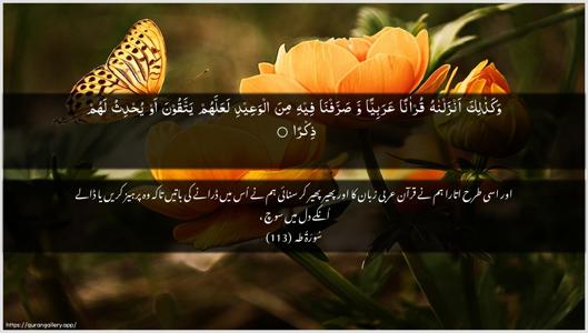 Taa-Haa Ayah 113 - Arabic + Urdu wallpaper