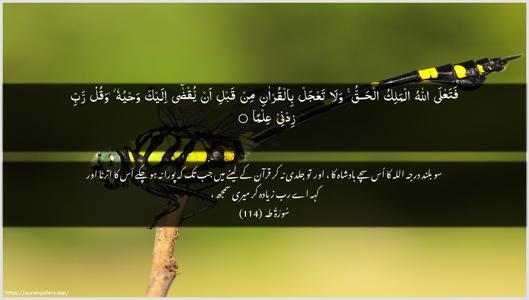 Taa-Haa Ayah 114 - Arabic + Urdu wallpaper