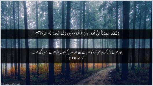 Taa-Haa Ayah 115 - Arabic + Urdu wallpaper