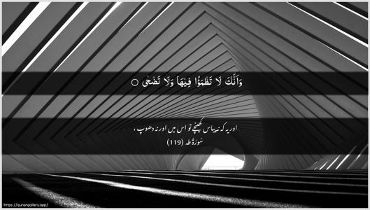 Taa-Haa Ayah 119 - Arabic + Urdu wallpaper