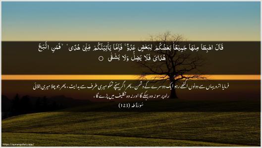 Taa-Haa Ayah 123 - Arabic + Urdu wallpaper