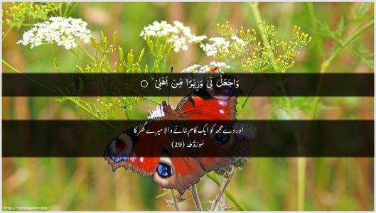 Taa-Haa Ayah 29 - Arabic + Urdu wallpaper