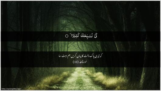 Taa-Haa Ayah 33 - Arabic + Urdu wallpaper
