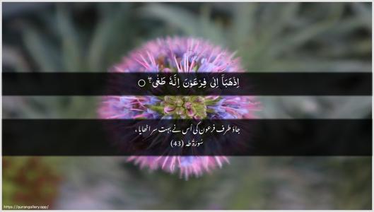 Taa-Haa Ayah 43 - Arabic + Urdu wallpaper
