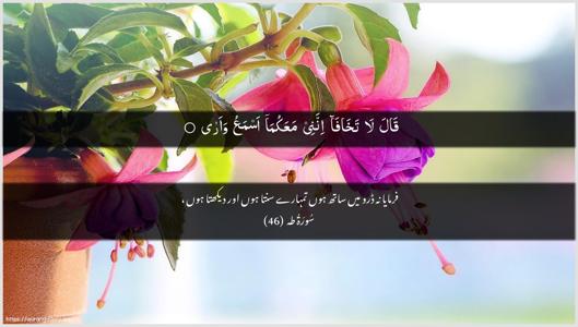 Taa-Haa Ayah 46 - Arabic + Urdu wallpaper