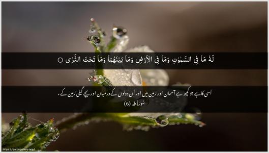 Taa-Haa Ayah 6 - Arabic + Urdu wallpaper