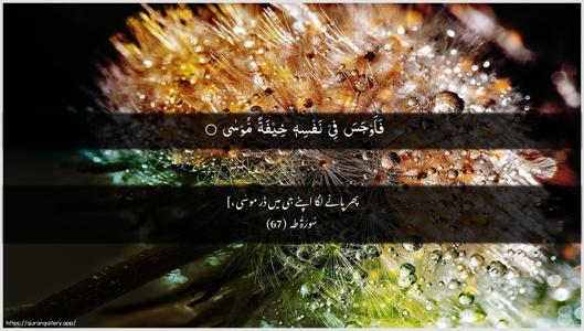 Taa-Haa Ayah 67 - Arabic + Urdu wallpaper