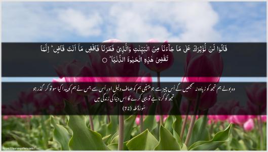 Taa-Haa Ayah 72 - Arabic + Urdu wallpaper