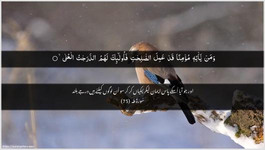 Taa-Haa Ayah 75 - Arabic + Urdu wallpaper