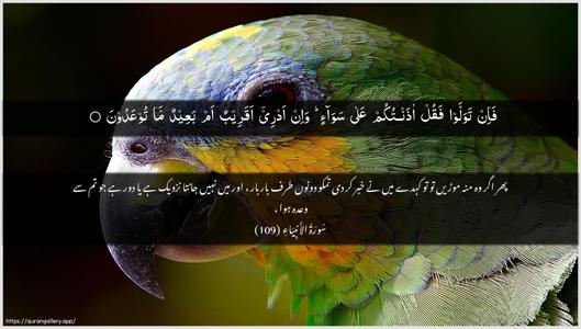 Al-Anbiyaa Ayah 109 - Arabic + Urdu wallpaper