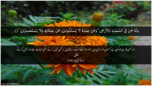 Al-Anbiyaa Ayah 19 - Arabic + Urdu wallpaper