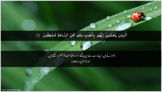 Al-Anbiyaa Ayah 49 - Arabic + Urdu wallpaper