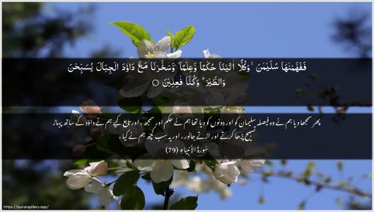 Al-Anbiyaa Ayah 79 - Arabic + Urdu wallpaper