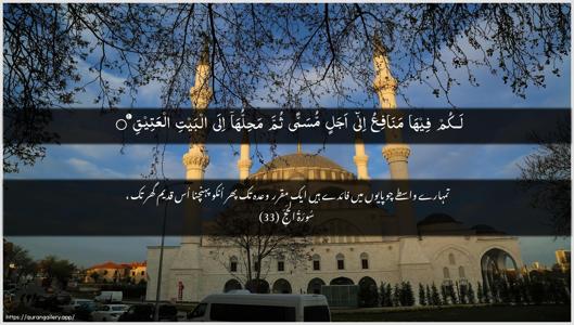 Al-Hajj Ayah 33 - Arabic + Urdu wallpaper