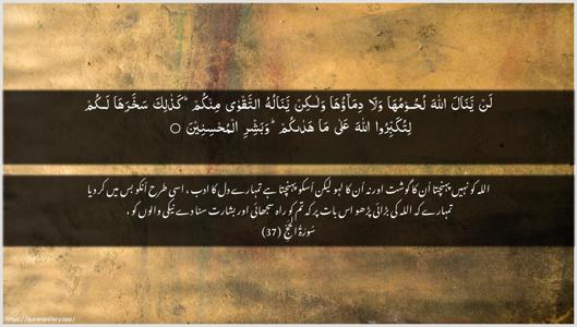 Al-Hajj Ayah 37 - Arabic + Urdu wallpaper
