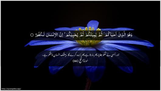 Al-Hajj Ayah 66 - Arabic + Urdu wallpaper