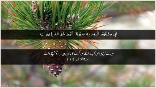Al-Muminoon Ayah 111 - Arabic + Urdu wallpaper