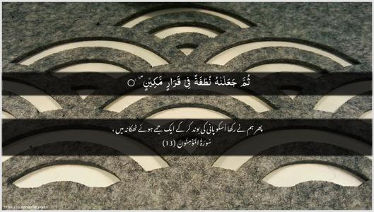 Al-Muminoon Ayah 13 - Arabic + Urdu wallpaper