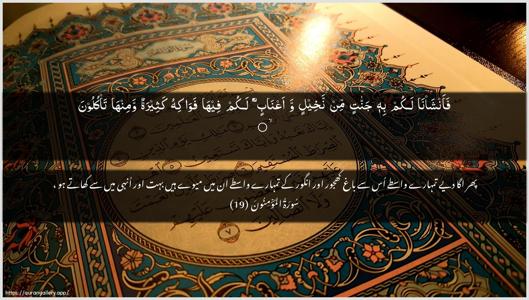 Al-Muminoon Ayah 19 - Arabic + Urdu wallpaper